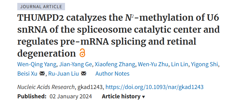生命学院刘如娟课题组与合作者发现新型U6 snRNA修饰酶